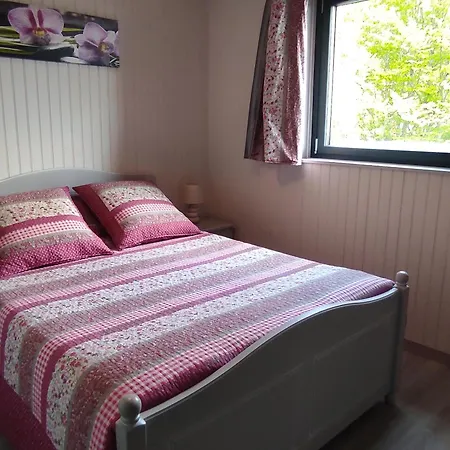 Grand 3 Pieces Avec Vue Sur Pistes Et A Besse - Fr-1-814-129 Apartamento *
