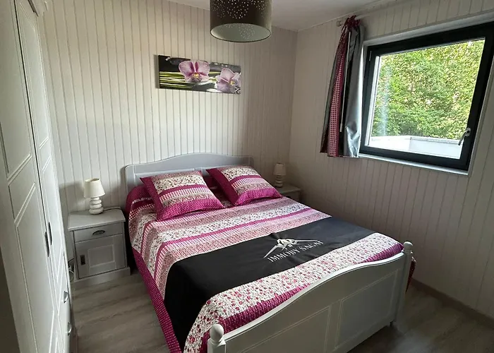 Grand 3 Pieces Avec Vue Sur Pistes Et A Besse - Fr-1-814-129 * Super Besse