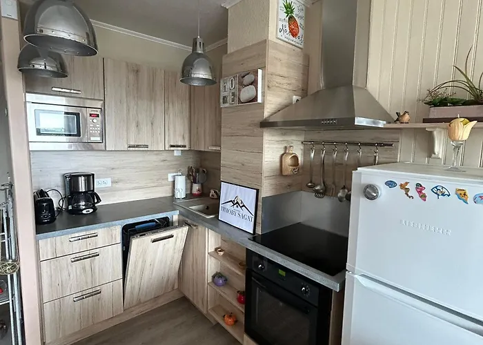 Grand 3 Pieces Avec Vue Sur Pistes Et A Besse - Fr-1-814-129 Apartment