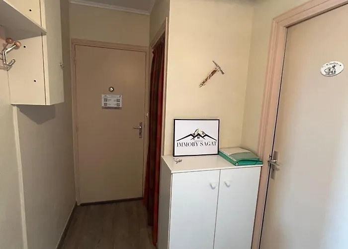 Grand 3 Pieces Avec Vue Sur Pistes Et A Besse - Fr-1-814-129 Apartment *